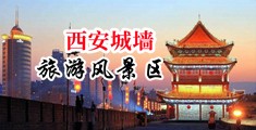 午夜试看嫩逼中国陕西-西安城墙旅游风景区